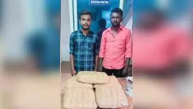ஒசூர் அருகே பரபரப்பு: பெங்களூரிலிருந்து மதுரைக்கு தனியார் பேருந்தில் 10 கிலோ கஞ்சா கடத்திய 2 பேர் கைது!